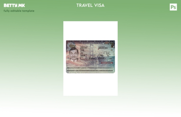 Шаблон за верзија за патничка виза за САД во модерен стил